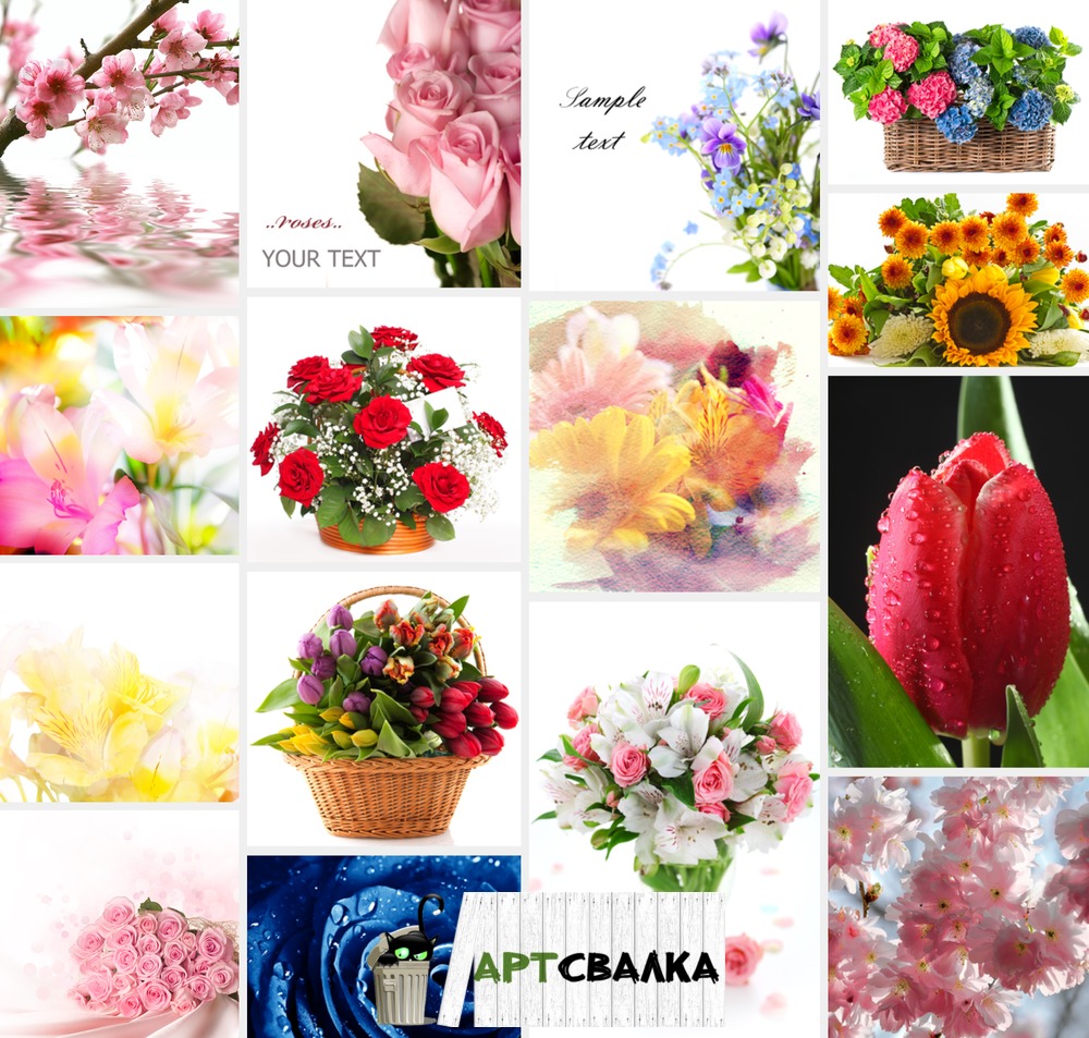 Цветы и цветочные фоны | Flowers and floral backgrounds